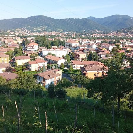 Bergamo Bnb Villa di Serio エクステリア 写真